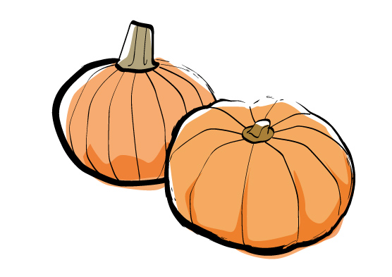 Material pumpkin of autumn